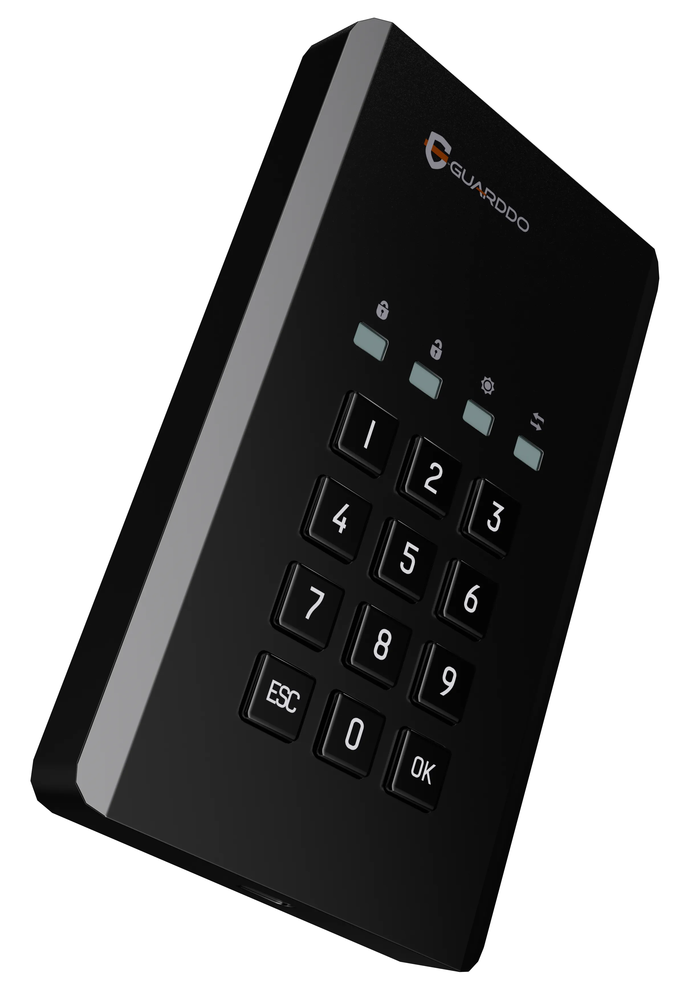 Зашифрованный SSD-диск с паролем GuardDo
