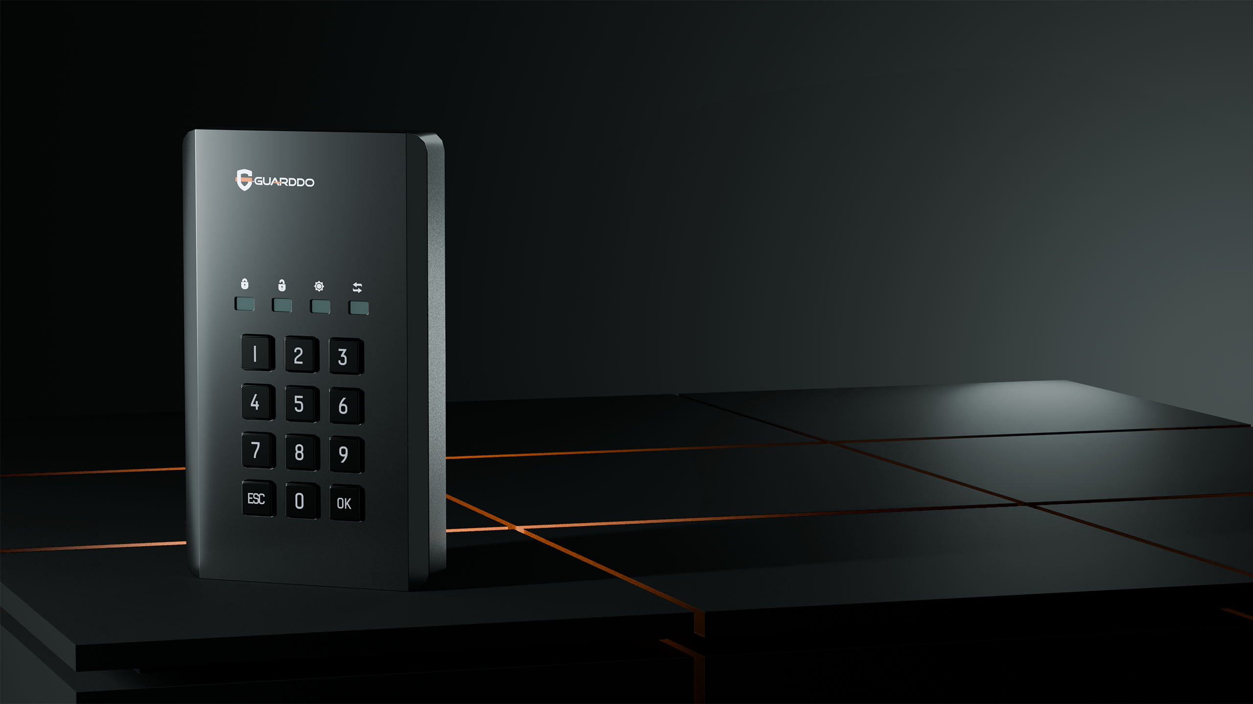 SSD-диск Guardo — часто ищут как Гуардо